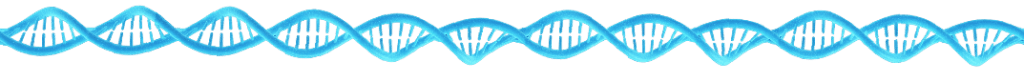 DNA